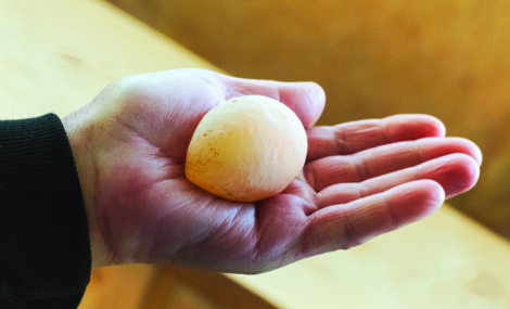 The hand holds a fresh soft egg laid by a sick chicken without a shell&hellip;